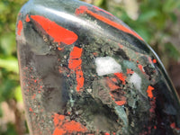 Polished Bloodstone Standing Free Forms x 2 From Swaziland - Toprock Gemstones and Minerals