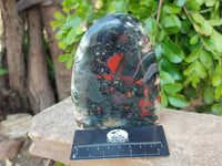 Polished Bloodstone Standing Free Forms x 2 From Swaziland - Toprock Gemstones and Minerals