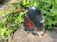 Polished Bloodstone Standing Free Forms x 2 From Swaziland - Toprock Gemstones and Minerals