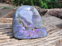 Polished Purple Labradorite Standing Free Forms x 2 From Tulear, Madagascar - Toprock Gemstones and Minerals