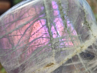 Polished Purple Labradorite Standing Free Forms x 2 From Tulear, Madagascar - Toprock Gemstones and Minerals