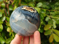 Polished Banded Agate Spheres x 3 From Madagascar - Toprock Gemstones and Minerals