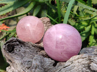 Polished Star Rose Quartz Spheres x 3 From Madagascar - Toprock Gemstones and Minerals
