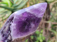 Polished Chevron Amethyst Points x 2 From Zambia - Toprock Gemstones and Minerals