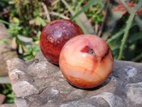 Polished Carnelian Agate Spheres x 4 From Madagascar - Toprock Gemstones and Minerals