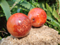 Polished Carnelian Agate Spheres x 4 From Madagascar - Toprock Gemstones and Minerals