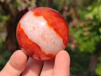 Polished Carnelian Agate Spheres x 4 From Madagascar - Toprock Gemstones and Minerals