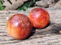 Polished Carnelian Agate Spheres x 4 From Madagascar - Toprock Gemstones and Minerals