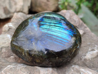 Polished Labradorite Hearts x 2 From Tulear, Madagascar - Toprock Gemstones and Minerals