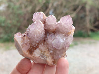 Natural Ametrine Spirit Quartz Clusters x 6 From South Africa - Toprock Gemstones and Minerals