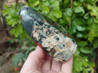 Polished Bloodstone Standing Free Forms x 2 From Swaziland - Toprock Gemstones and Minerals