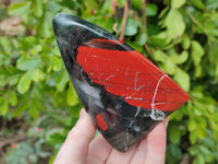 Polished Bloodstone Standing Free Forms x 2 From Swaziland - Toprock Gemstones and Minerals