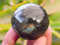 Polished Labradorite Spheres x 6  From Tulear, Madagascar - Toprock Gemstones and Minerals