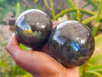 Polished Labradorite Spheres x 6  From Tulear, Madagascar - Toprock Gemstones and Minerals
