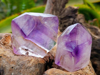 Polished Window Amethyst Crystals x 6 From Madagascar - Toprock Gemstones and Minerals