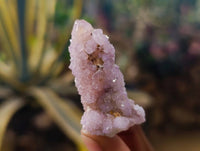 Natural Amethyst Spirit Quartz Clusters x 35 From Boekenhouthoek, South Africa - Toprock Gemstones and Minerals