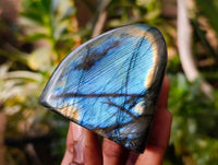 Polished Labradorite Standing Free Forms x 6 From Tulear, Madagascar - Toprock Gemstones and Minerals