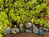 Polished Labradorite Standing Free Forms x 6 From Tulear, Madagascar - Toprock Gemstones and Minerals