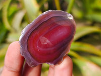 Polished On One Side Sashe River Agate Nodules x 28 From Zimbabwe - Toprock Gemstones and Minerals