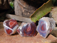 Polished On One Side Sashe River Agate Nodules x 28 From Zimbabwe - Toprock Gemstones and Minerals