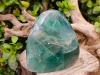 Polished Green Fluorite Standing Free Forms x 2 From Madagascar - Toprock Gemstones and Minerals