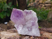 Natural Jacaranda Amethyst Quartz Crystals x 2 From Mumbwa, Zambia - Toprock Gemstones and Minerals