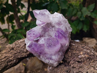 Natural Jacaranda Amethyst Quartz Crystals x 2 From Mumbwa, Zambia - Toprock Gemstones and Minerals