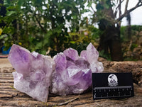 Natural Jacaranda Amethyst Quartz Crystals x 2 From Mumbwa, Zambia - Toprock Gemstones and Minerals
