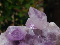 Natural Jacaranda Amethyst Quartz Crystals x 2 From Mumbwa, Zambia - Toprock Gemstones and Minerals