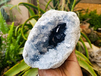 Natural Celestite Geode Specimen x 1 From Sakoany, Madagascar - Toprock Gemstones and Minerals