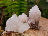 Natural Amethyst Spirit Quartz Clusters x 35 From Boekenhouthoek, South Africa - Toprock Gemstones and Minerals