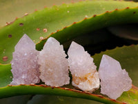 Natural Amethyst Spirit Quartz Clusters x 35 From Boekenhouthoek, South Africa - Toprock Gemstones and Minerals