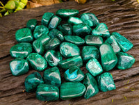 Polished Flower Banded Malachite Free Forms x 35 From Congo - Toprock Gemstones and Minerals