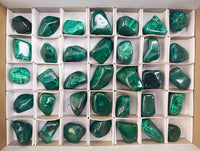 Polished Flower Banded Malachite Free Forms x 35 From Congo - Toprock Gemstones and Minerals