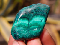 Polished Flower Banded Malachite Free Forms x 35 From Congo - Toprock Gemstones and Minerals