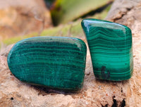 Polished Flower Banded Malachite Free Forms x 35 From Congo - Toprock Gemstones and Minerals