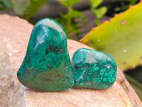 Polished Flower Banded Malachite Free Forms x 35 From Congo - Toprock Gemstones and Minerals