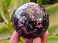 Polished Rhodonite Spheres x 4 From Ambindavato, Madagascar - Toprock Gemstones and Minerals