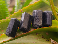 Natural Schorl Black Tourmaline Specimens x 70 from Zimbabwe - Toprock Gemstones and Minerals