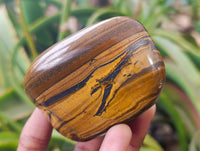 Polished Golden Tiger's Eye Free Forms x 6 From Prieska, South Africa - Toprock Gemstones and Minerals