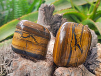 Polished Golden Tiger's Eye Free Forms x 6 From Prieska, South Africa - Toprock Gemstones and Minerals