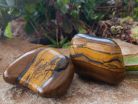 Polished Golden Tiger's Eye Free Forms x 6 From Prieska, South Africa - Toprock Gemstones and Minerals