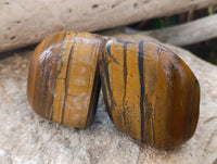Polished Golden Tiger's Eye Free Forms x 6 From Prieska, South Africa - Toprock Gemstones and Minerals