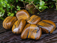 Polished Golden Tiger's Eye Free Forms x 6 From Prieska, South Africa - Toprock Gemstones and Minerals