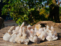 Natural Amethyst Spirit Quartz Clusters x 35 From Boekenhouthoek, South Africa - Toprock Gemstones and Minerals