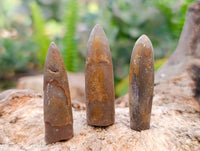 Natural Belemnite Fossil Specimens x 2.09 Lot From Mahanjanga, Madagascar - Toprock Gemstones and Minerals