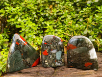 Polished Bloodstone Standing Free Forms x 3 From Swaziland - Toprock Gemstones and Minerals