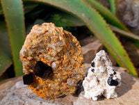 Natural Schorl Black Tourmaline with Orthoclase x 6 From Erongo, Namibia - Toprock Gemstones and Minerals