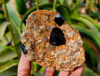 Natural Schorl Black Tourmaline with Orthoclase x 6 From Erongo, Namibia - Toprock Gemstones and Minerals