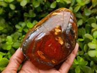 Polished Ocean Jasper Standing Free Form x 3 From Madagascar - Toprock Gemstones and Minerals